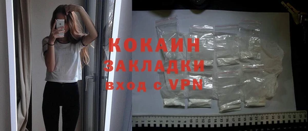 дживик Новозыбков