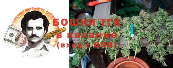 эйфоретик Аркадак
